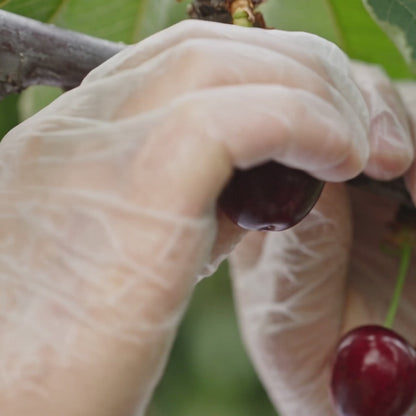 🥇Montmorency Tart Cherries – Nourish Your Body Naturally-EV